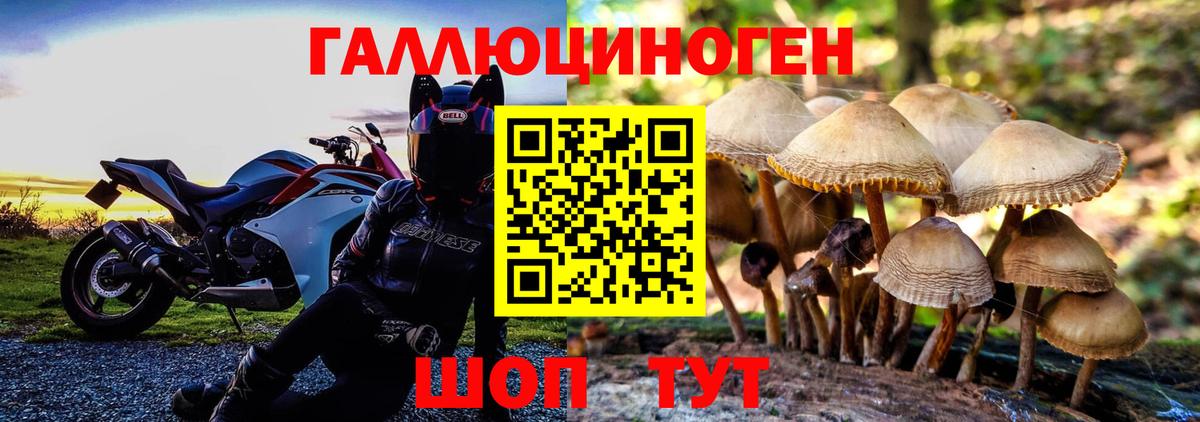 Артём  Галлюциногенные грибы мухоморы  дарнет шоп  Вход с VPN  Галлюциногенные грибы мухоморы 