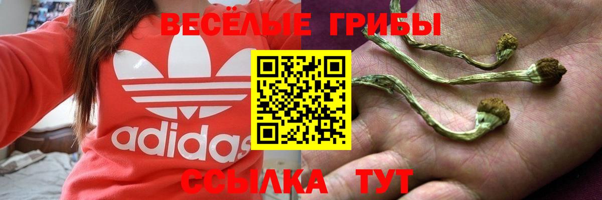 Галлюциногенные грибы MAGIC MUSHROOMS Артём
