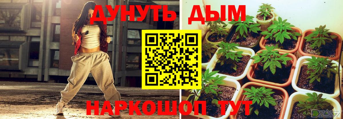 Каннабис Amnesia Артём